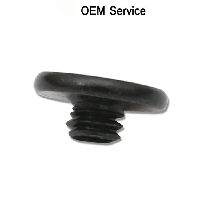 Black Zinc Plated Electronic Screws Small