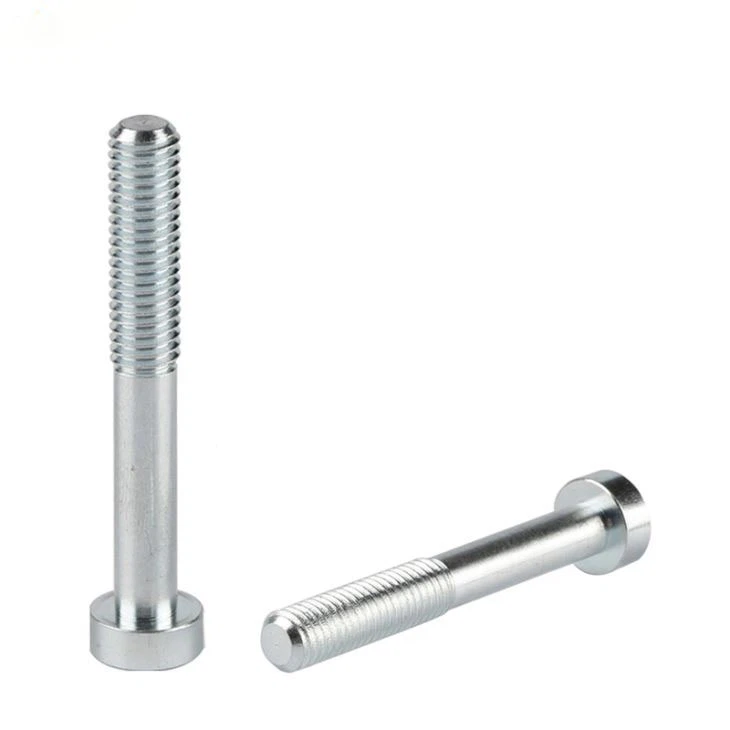 Socket Flange Cap Screw Torx Screw Bolt