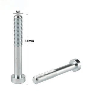 Socket Flange Cap Screw Torx Screw Bolt