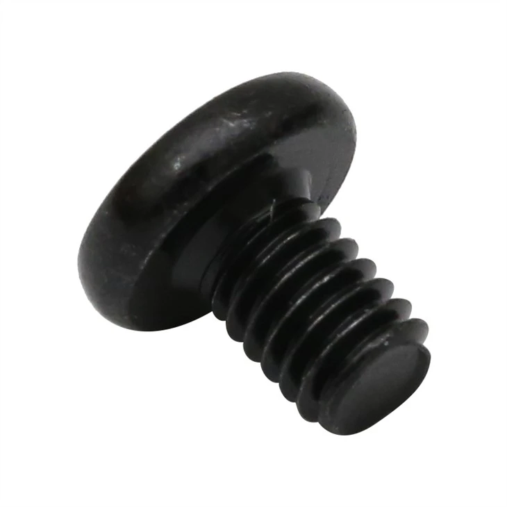 Small micro phillips black screw
