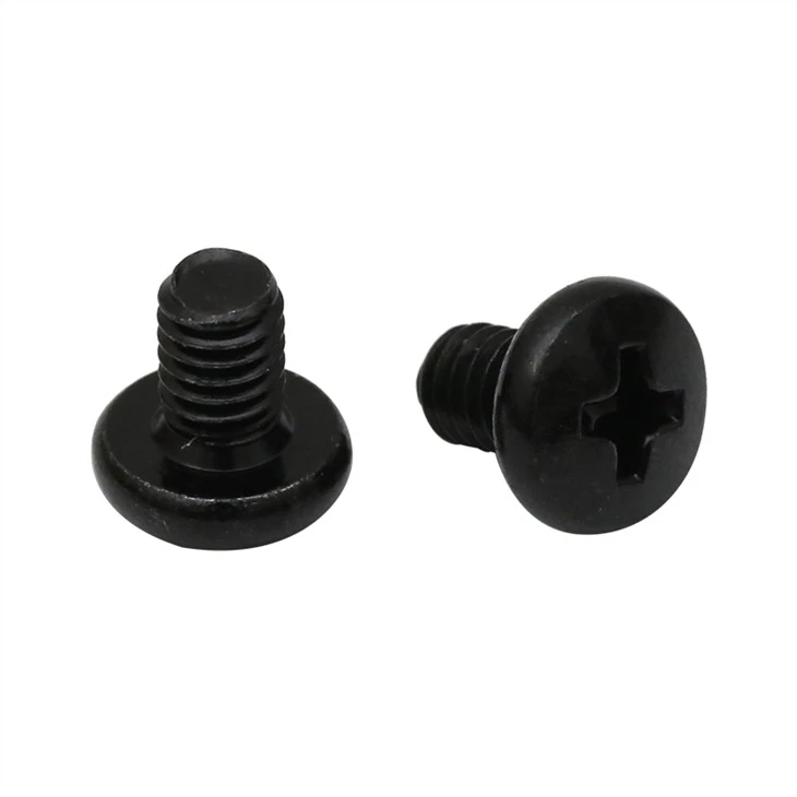Small micro phillips black screw